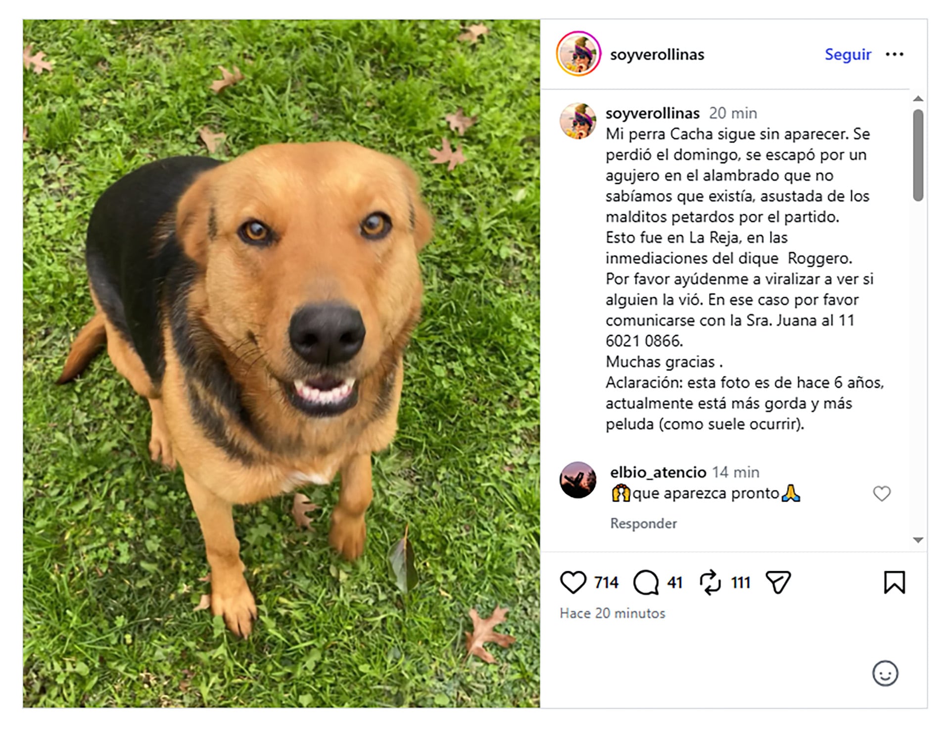 La actriz apeló a sus seguidores tras la fuga de su mascota por un hueco del cerco y difundió un número de contacto, con la esperanza de que un dato oportuno alivie la desesperación