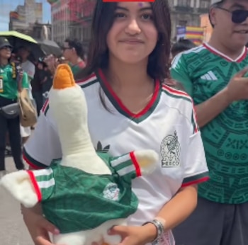 pato Merlín