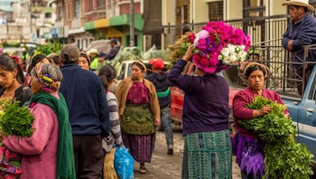 El microclima de Chimaltenango favorece la producción de una amplia diversidad de especies nativas e importadas para la exportación de flores de Guatemala. (Fotografía retomada de guatemala.com)