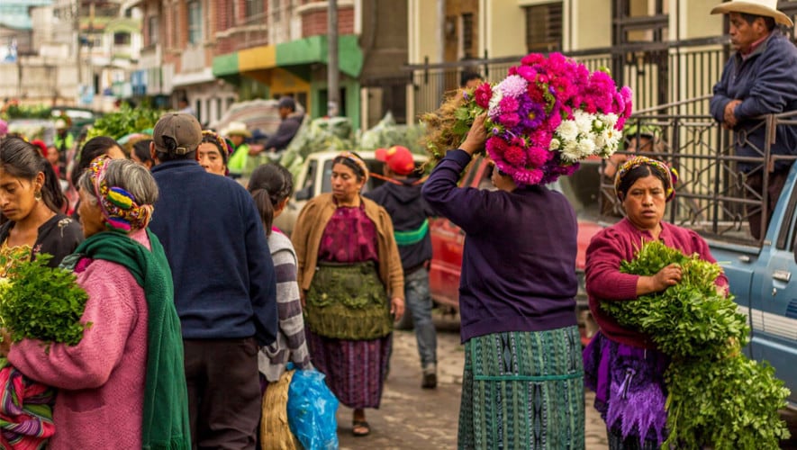 El microclima de Chimaltenango favorece la producción de una amplia diversidad de especies nativas e importadas para la exportación de flores de Guatemala. (Fotografía retomada de guatemala.com)