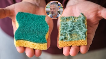 David Céspedes, doctor: “Deja de