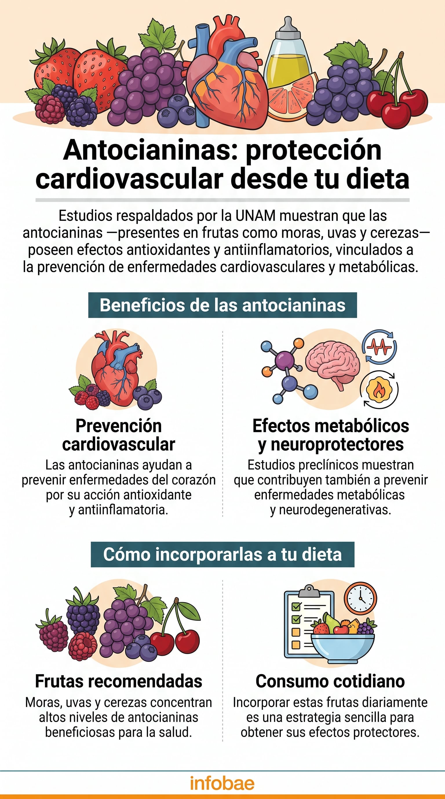 Especialistas coinciden en que la preparación del desayuno influye en los niveles de energía durante el día. (Imagen Ilustrativa Infobae)