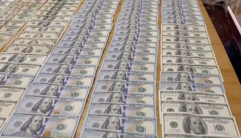 En el criadero ilegal de