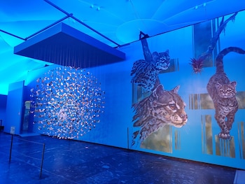 Museo de Historia Natural