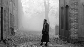 “La chica con la aguja”,