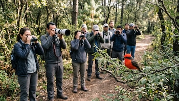 Dónde observar aves en la CDMX: el encuentro de aviturismo tendrá recorridos en Bosque de Tlalpan, Xochimilco y Ecoguardas