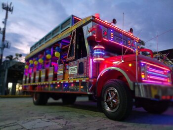 Medellín prohíbe las chivas navideñas