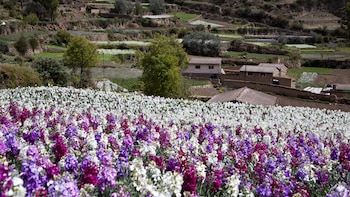 El mes de la primavera
