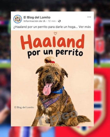 (Captura de pantalla)