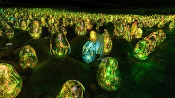 teamLab Planets Tokyo logró atraer