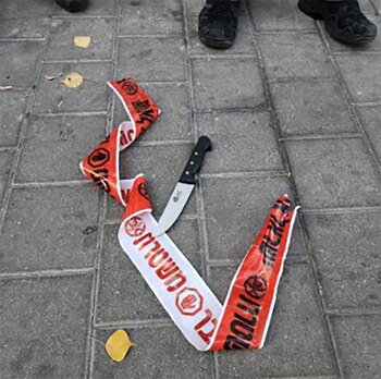 Una foto proporcionada por la