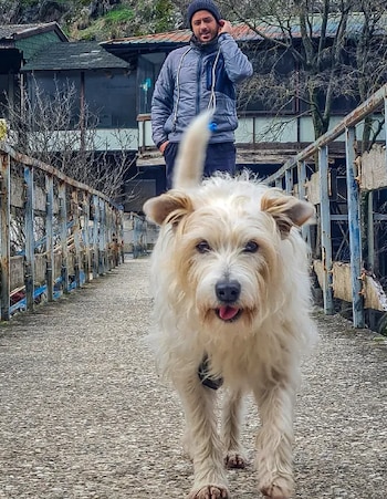 Ettore, su perro callejero, los acompaña en todas sus travesías