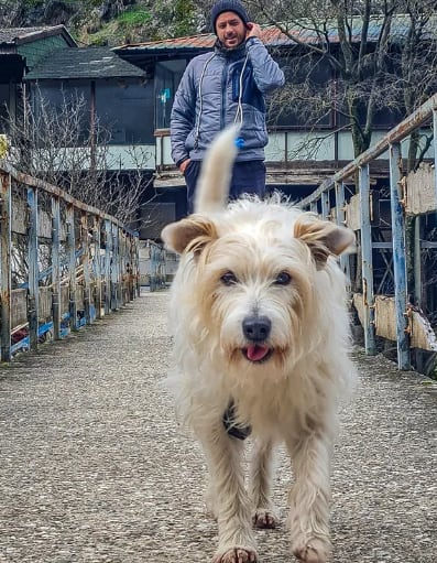 Ettore, su perro callejero, los acompaña en todas sus travesías