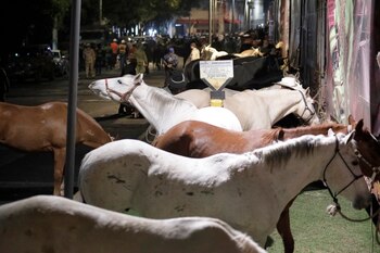 (Foto: Luis Cortés/ Infobae México)