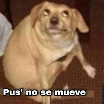 Estos son los mejores memes