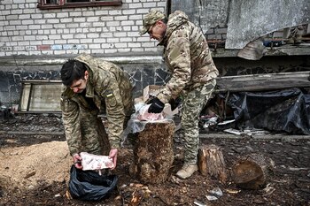 El Gobierno ucraniano plantea reformas