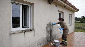 Mujer con mascarilla, guantes y ropa de trabajo limpia una pared exterior con un cepillo, un pulverizador y un cubo de agua jabonosa, bajo un nido de golondrinas.