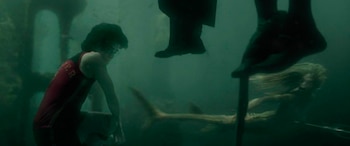 Más de cuarenta especialistas, entre