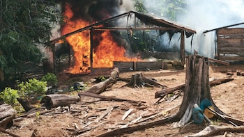 Laboratorio de coca fue desmantelado