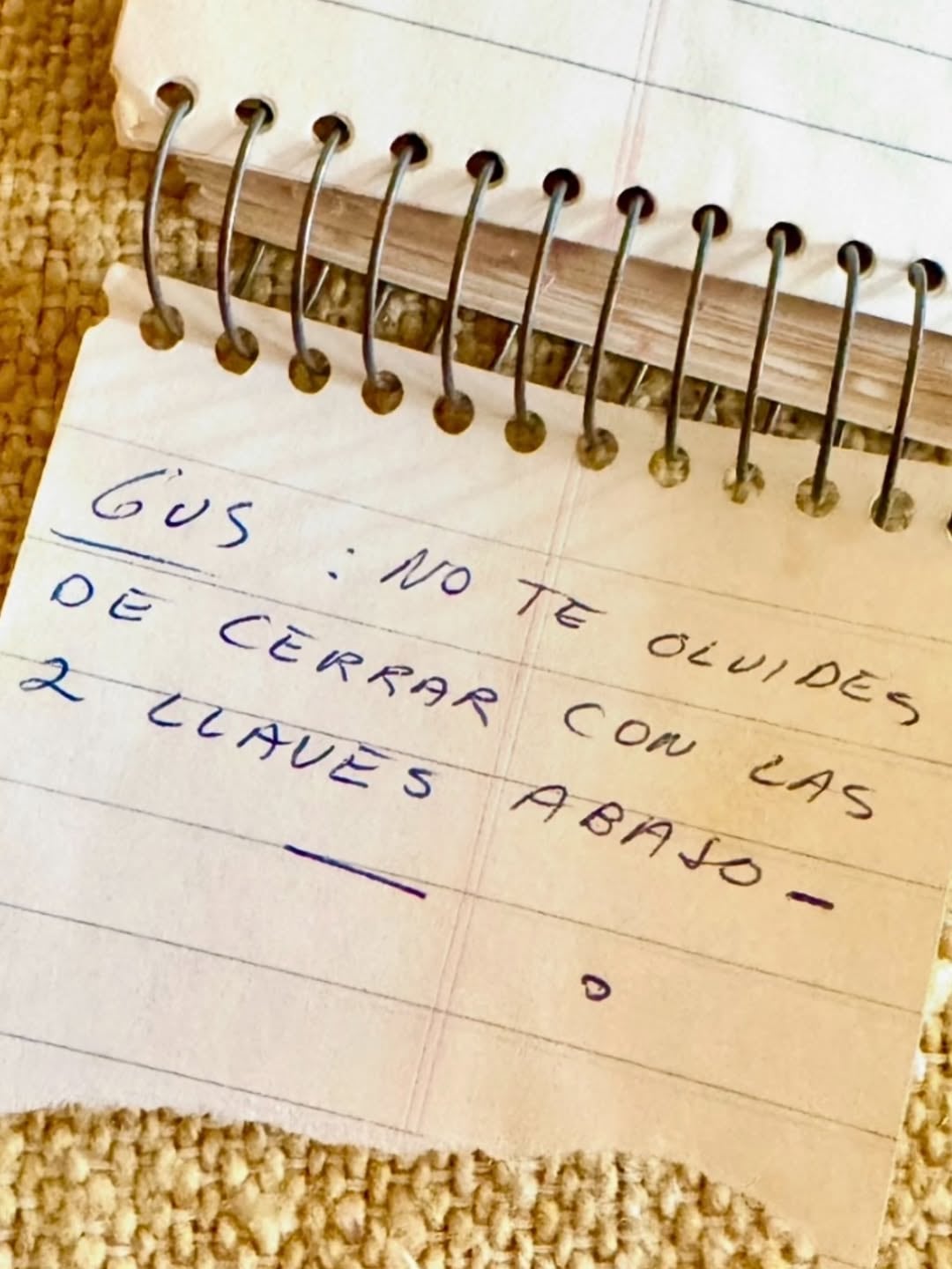 La segunda nota que publicó Laura Cerati