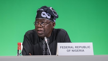 Nigeria afirma que su crisis