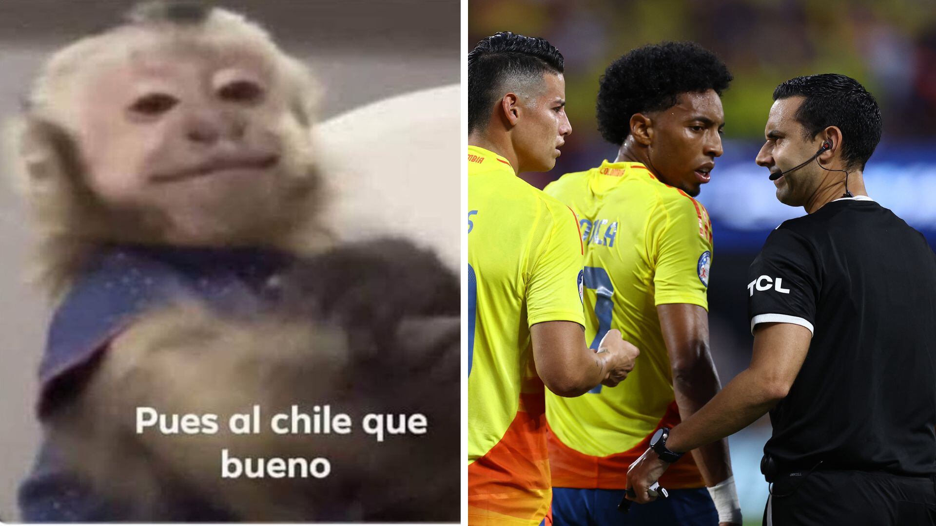 CHARLOTTE, NORTH CAROLINA - JULY 10: James Rodriguez of Colombia argues with referee Cesar Arturo Ramos during the CONMEBOL Copa America 2024 semifinal match between Uruguay and Colombia at Bank of America Stadium on July 10, 2024 in Charlotte, North Carolina. (Photo by Tim Nwachukwu/Getty Images)