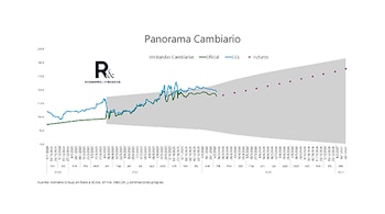 "La flexibilidad cambiaria introduce volatilidad