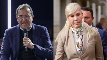 El ministro del interior habría