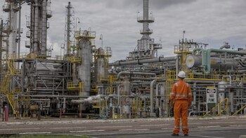 Brasil produjo en junio un