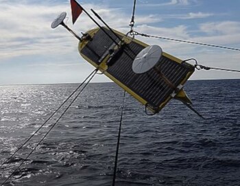 Aunque aún no se pueden