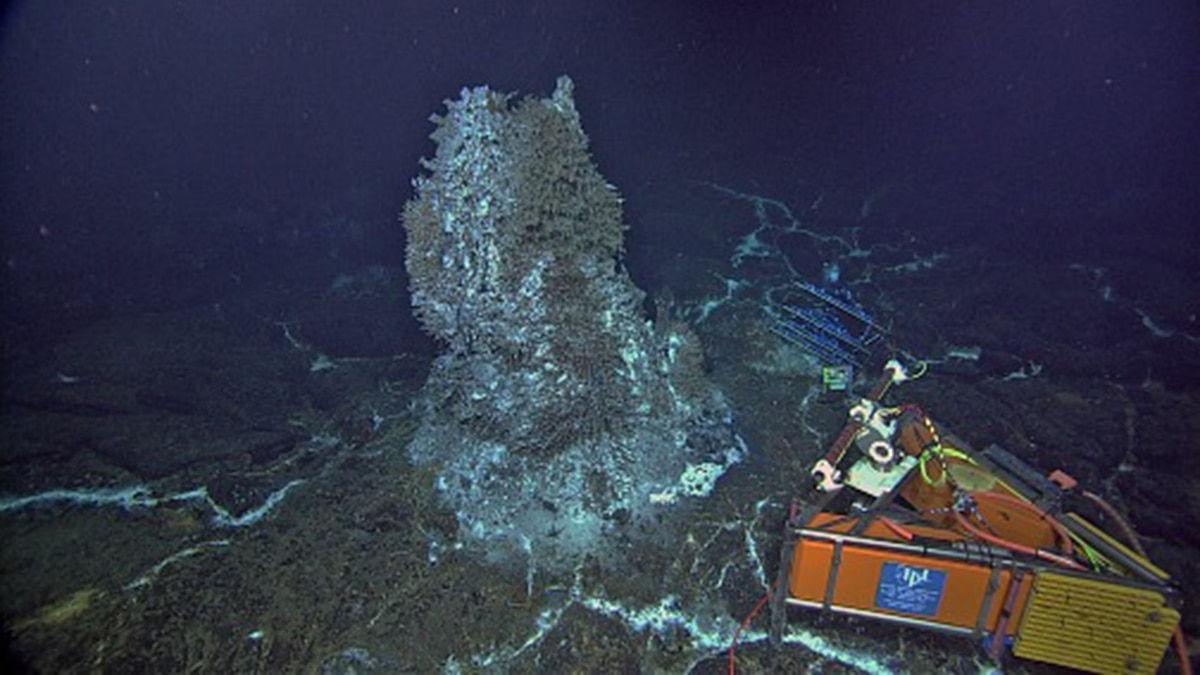 Axial Seamount: el volcán submarino activa alertas de posible erupción