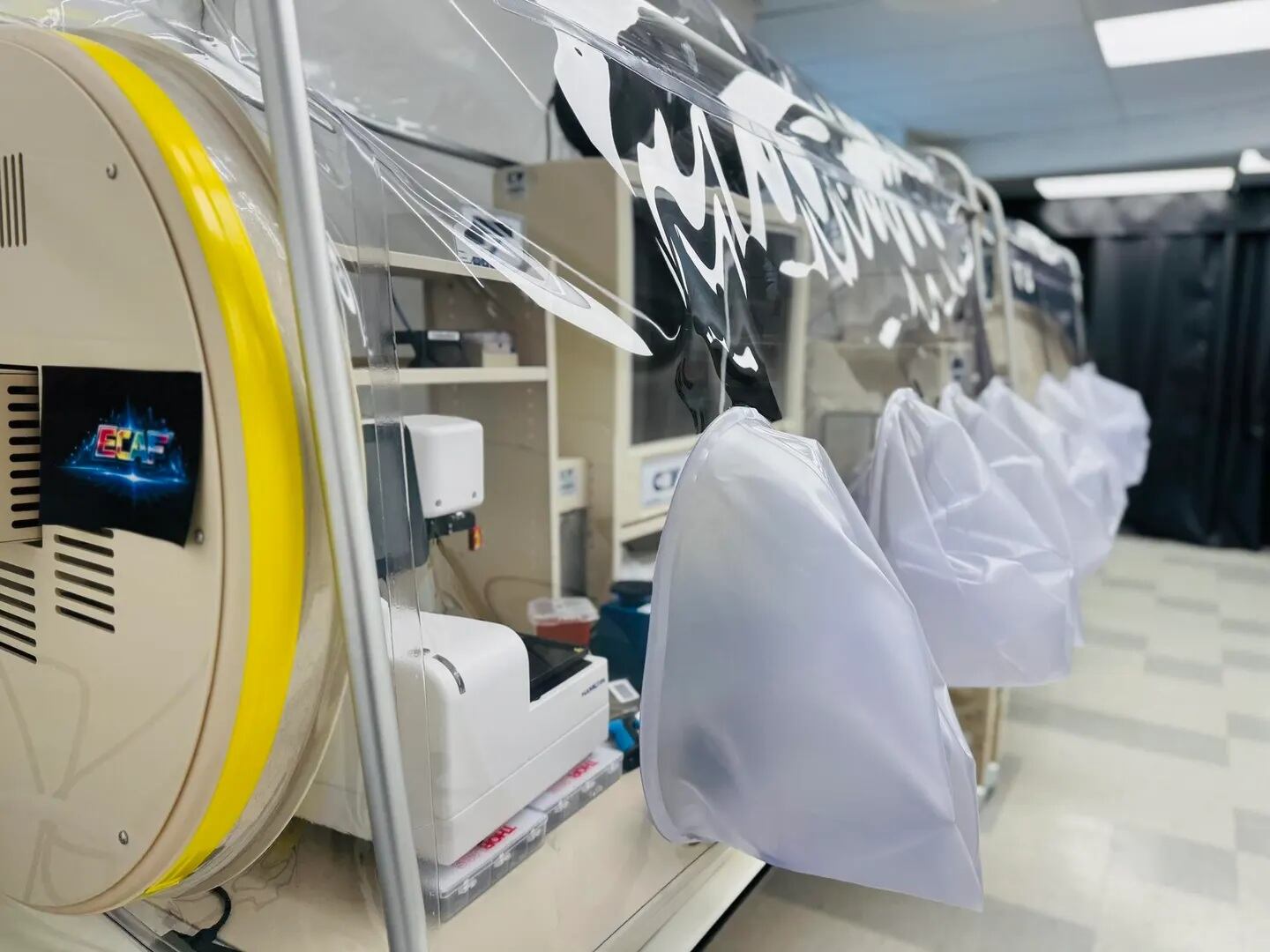 Un novedoso comprimido diseñado por una biotecnológica estadounidense busca restaurar el microbioma en mujeres embarazadas de regiones vulnerables (crédito: Kanvas Biociencias)