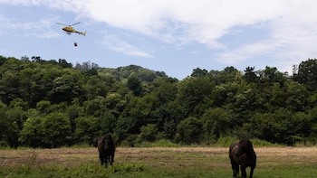 Se mantienen seis incendios forestales en Asturias, con el fuego de Nava ya controlado