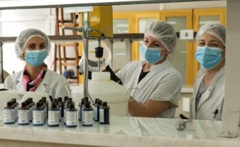 Investigadoras de la UBA fabrican su propio repelente contra mosquitos (UBA)