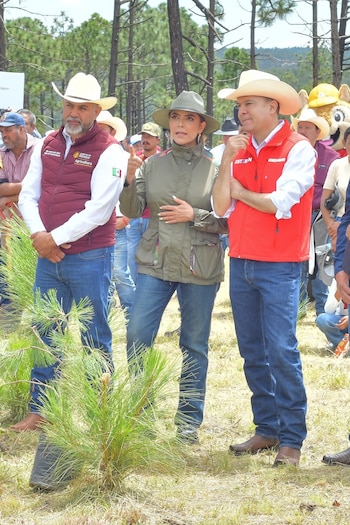 Jornada Nacional de Reforestación arranca en 32 estados; Durango fija su propia meta ambiental.