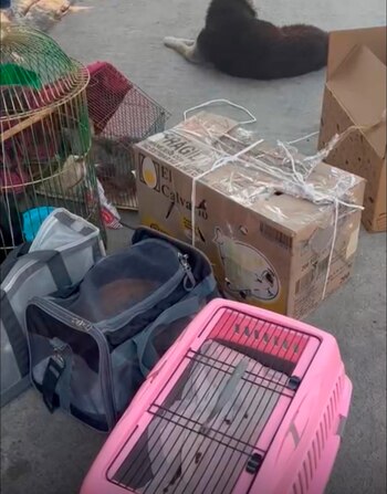 Autoridades aún no confirman investigaciones