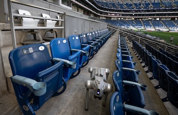 (EFE/ Miguel Sierra)