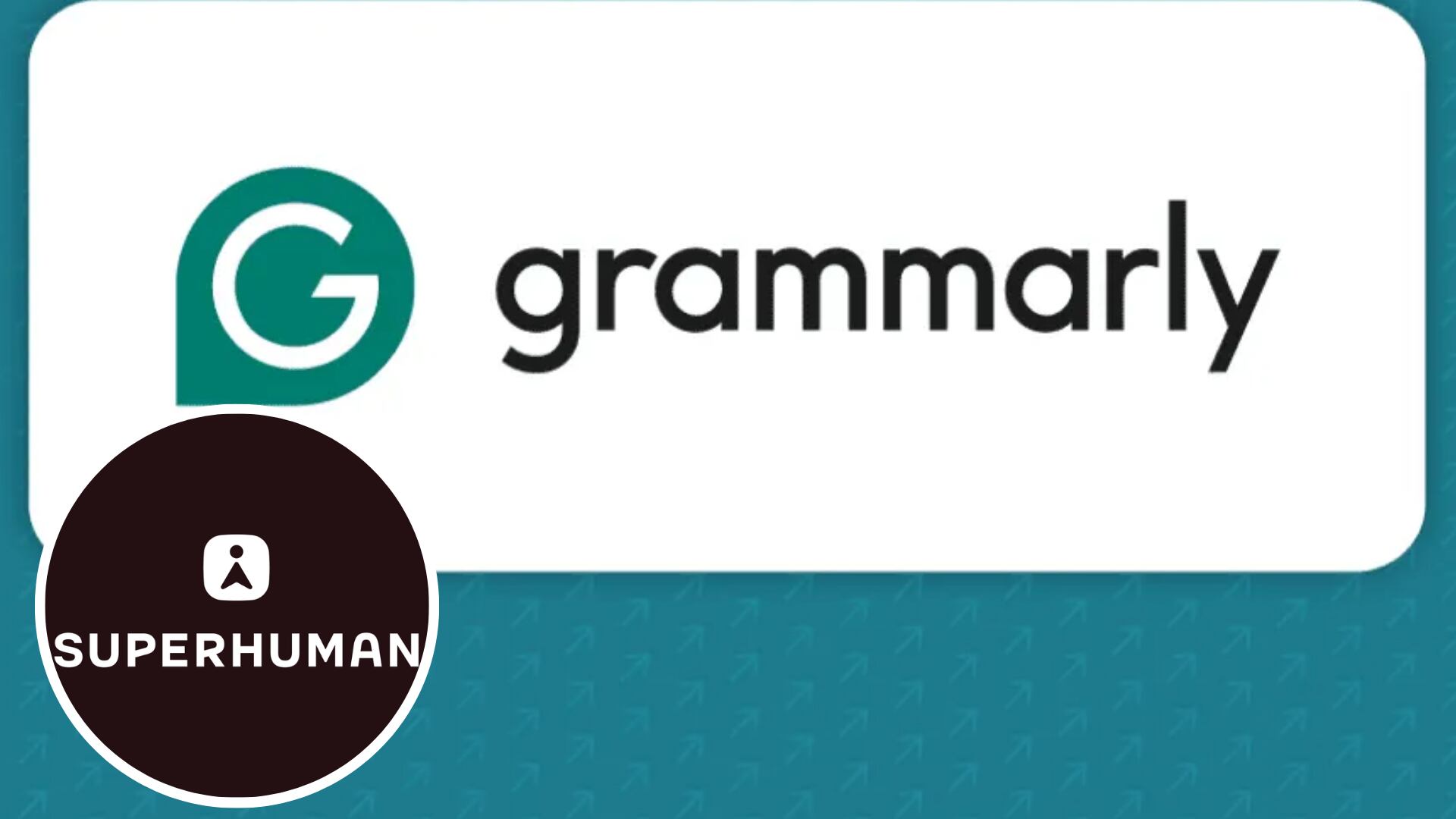 (Composición Infobae: ace.edu / grammarly.com)