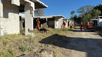 Miembros de la Unidad Canina