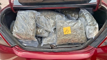 Detienen a dos hombres con 81 kilos de marihuana con destino a la CDMX: cargamento estaría ligado al CJNG