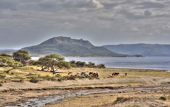 Un lago rodeado de colinas bajo un cielo nublado, con vacas, árboles y personas en una orilla de tierra seca y arena