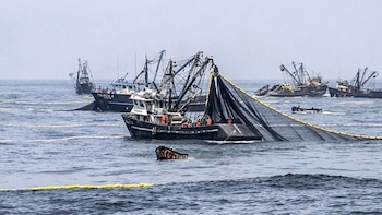 La proclamación de las 200