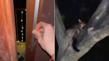 Una argentina revela su temor