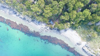 Puerto Almanza es un punto