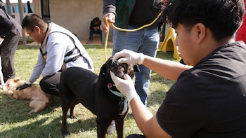 CDMX reporta el estado de