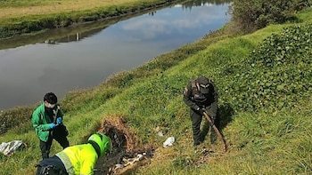 Maltrato animal en Bogotá: la