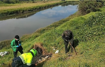 La incineración de una perra
