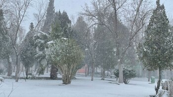 Nevada en Ciudad Juárez, Chihuahua,