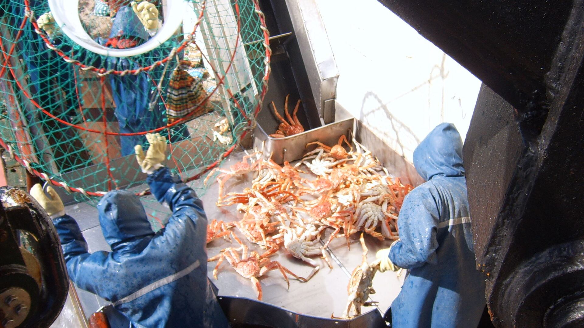 Tres ejecutivos de una de las empresas se acogieron al beneficio de la delación compensada.