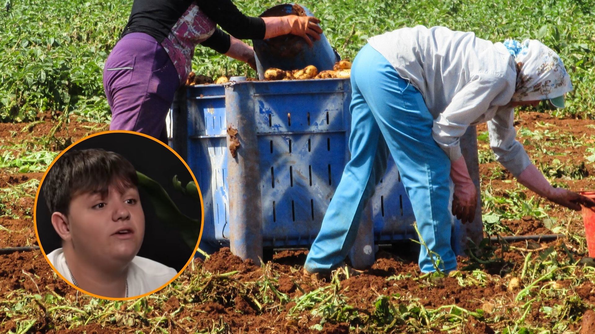 Competencia exterior, burocracia y sequía: un agricultor relata las dificultades que ponen en jaque al campo español